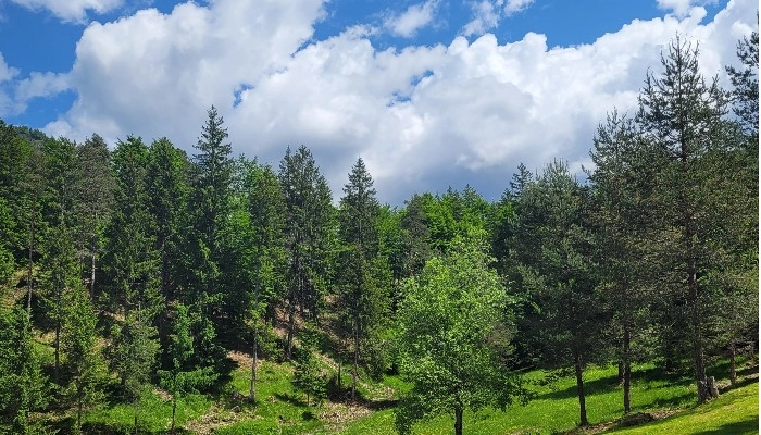 Ciaspolata notturna organizzata dal CAI di Lorenzago di Cadore