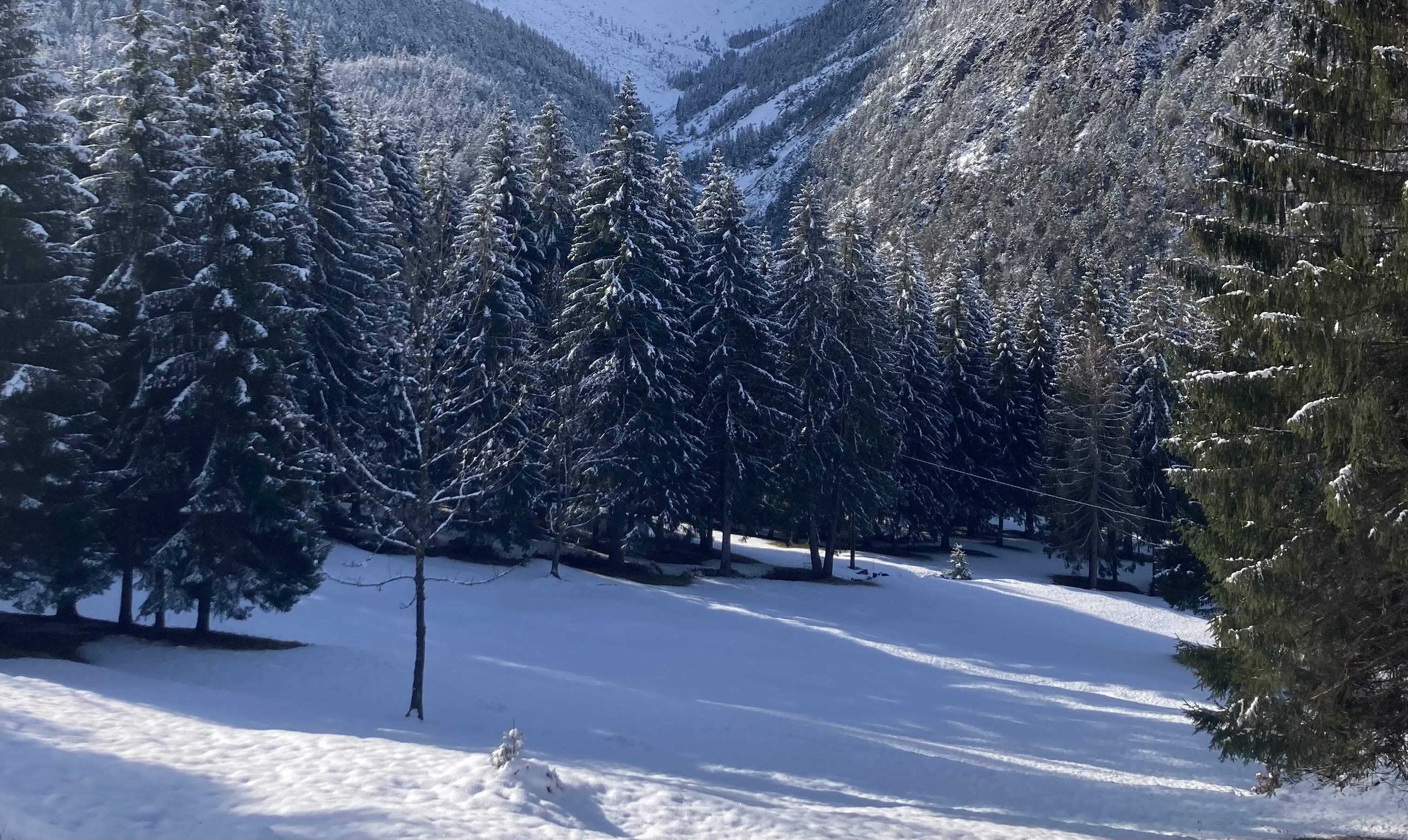 Avviso per l’affidamento in gestione della pista di fondo situata in località Borbe